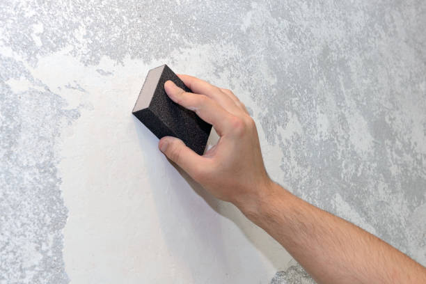 Best Basement Mold Removal  in Viroqua, WI