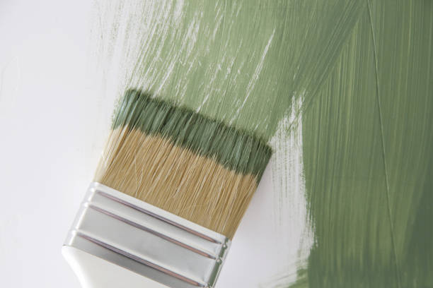 Mold Remediation for Vacation Homes in Viroqua, WI