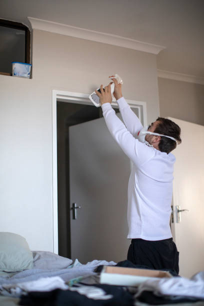 Best Mold Remediation for Vacation Homes  in Viroqua, WI