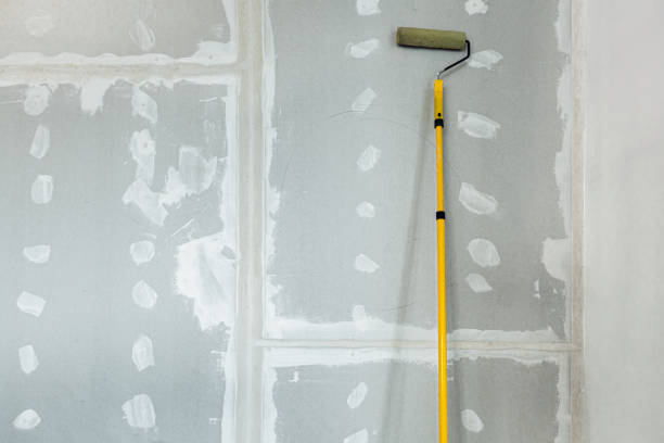 Best Mold Removal for HVAC Installations  in Viroqua, WI