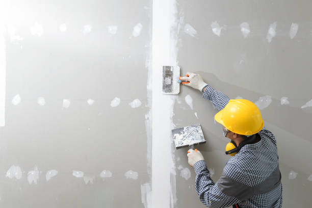 Best Mold Odor Removal Services  in Viroqua, WI