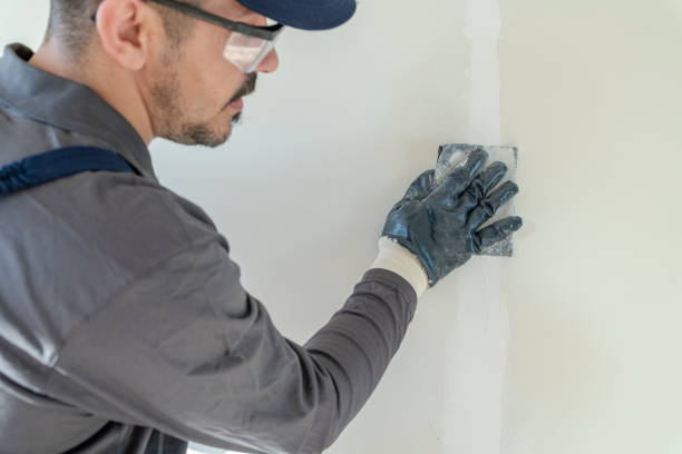 Best Mold Remediation for Healthcare Facilities  in Viroqua, WI