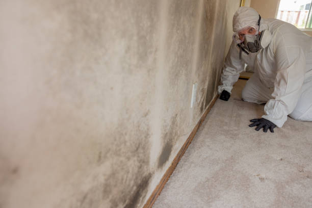 Best Biohazard Mold Removal  in Viroqua, WI