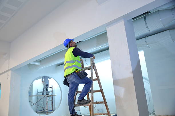 Best Dehumidification Services  in Viroqua, WI