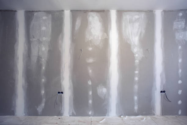 Best Black Mold Removal  in Viroqua, WI